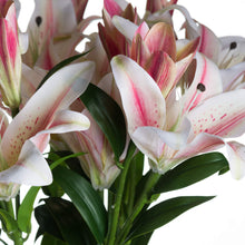 Lade das Bild in den Galerie-Viewer, Faux Stargazer lily in pink &amp; white
