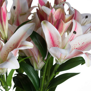 Faux Stargazer lily in pink & white