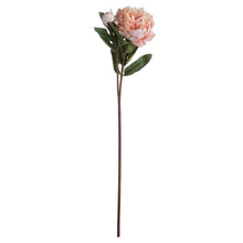 Indlæs billede til gallerivisning Peach faux peony rose
