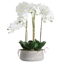 Load image into Gallery viewer, Extra large white potted faux orchid in a wide stone pot
