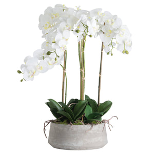 Extra large white potted faux orchid in a wide stone pot