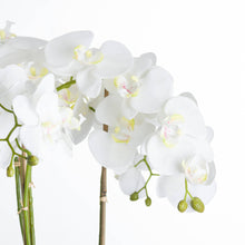 Charger l&#39;image dans la galerie, Extra large white potted faux orchid in a wide stone pot
