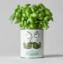 Load image into Gallery viewer, Mr. Herbyhead. Eco grow your Own plant, gardening kit.
