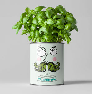 Mr. Herbyhead. Eco grow your Own plant, gardening kit.