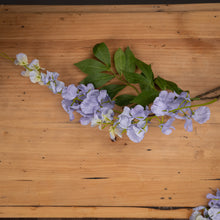 Afbeelding in Gallery-weergave laden, Faux lilac wisteria
