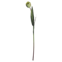 Load image into Gallery viewer, Faux green tulips bunch of 5 stems
