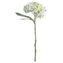 Load image into Gallery viewer, White lace cap faux hydrangea
