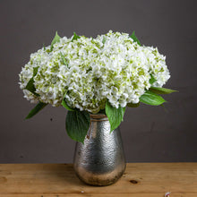 Load image into Gallery viewer, White lace cap faux hydrangea
