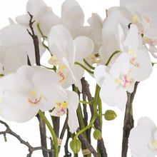 Load image into Gallery viewer, Large white potted faux orchid in a stone pot
