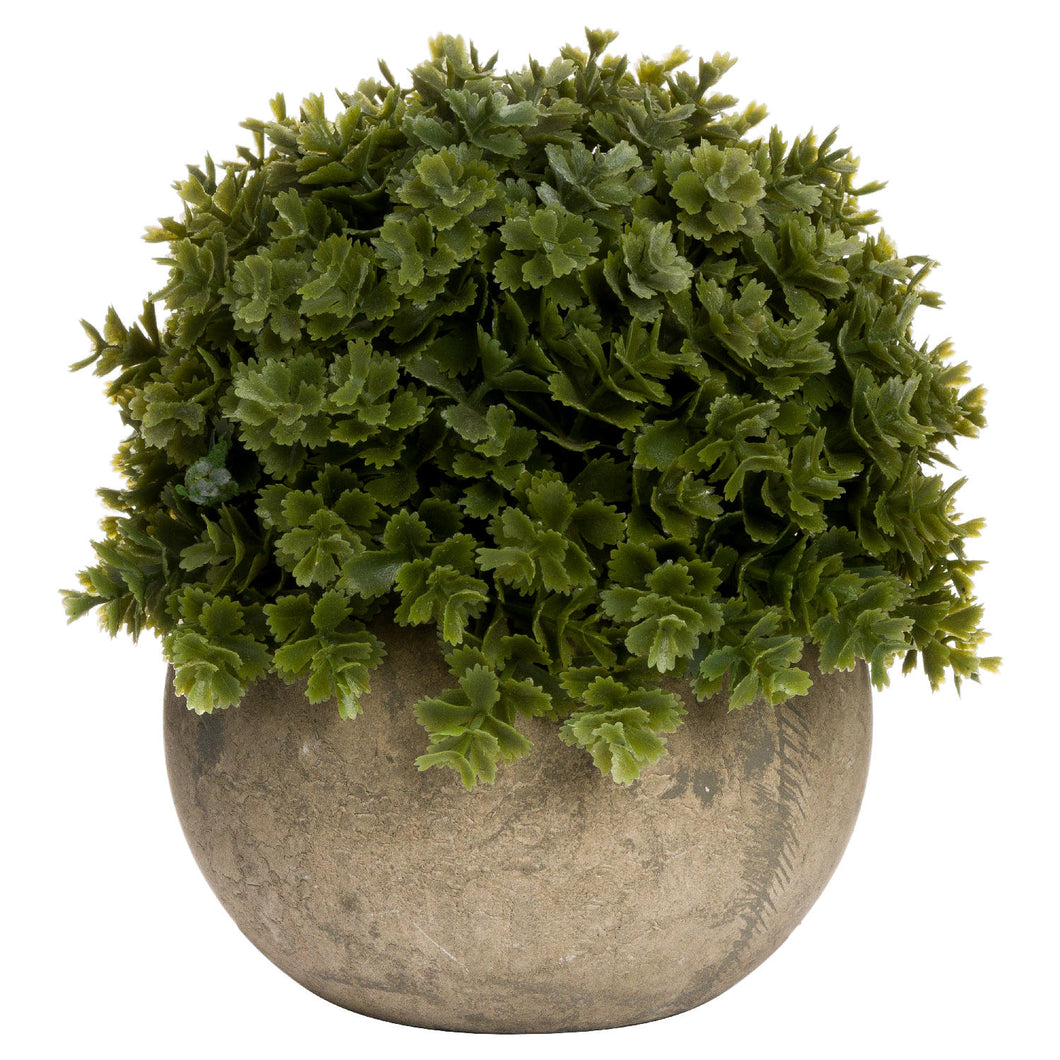 Miniature faux hebe veronica in a stone pot