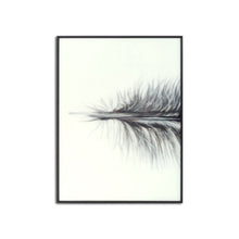 Load image into Gallery viewer, Feather multi frame large piece of artwork
