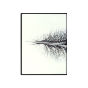Feather multi frame large piece of artwork