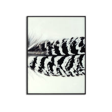 Afbeelding in Gallery-weergave laden, Feather multi frame large piece of artwork
