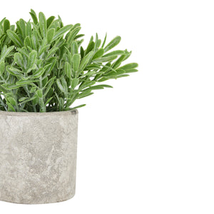 Buxus faux plant In stone effect pot