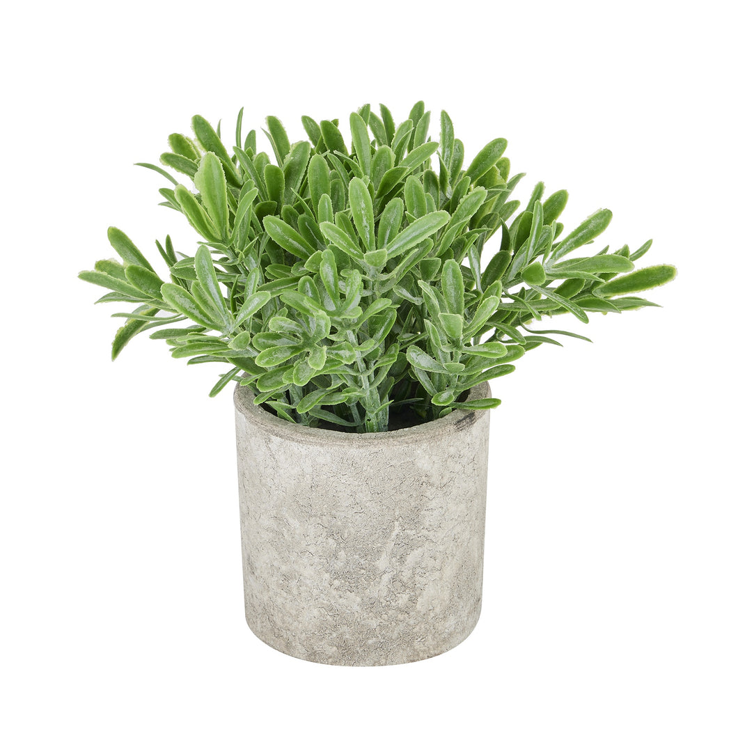 Buxus faux plant In stone effect pot