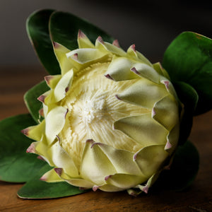 Large white faux protea