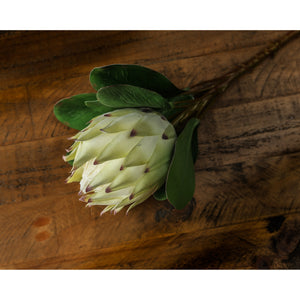 Large white faux protea