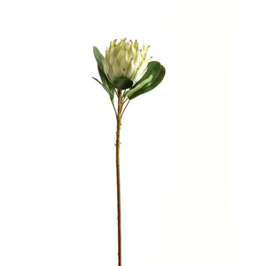 Large white faux protea