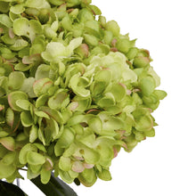 Carica l&#39;immagine nel visualizzatore di Gallery, Faux Hydrangea bunch in three colours
