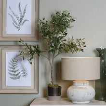 Load image into Gallery viewer, Calabria faux olive trees in three sizes
