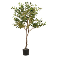 Load image into Gallery viewer, Calabria faux olive trees in three sizes
