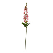 Charger l'image dans la galerie, Tall faux foxgloves in three colours
