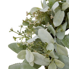 Load image into Gallery viewer, Winter lambs ear &amp; wax flower wreath
