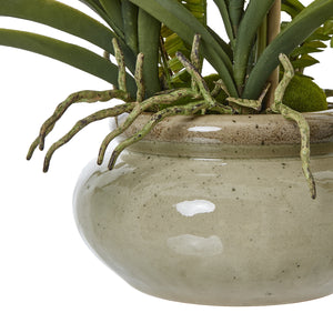 White potted faux orchid & fern in a ceramic pot