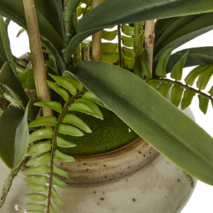 White potted faux orchid & fern in a ceramic pot