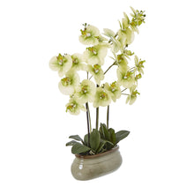 Load image into Gallery viewer, Large green faux orchid in a ceramic pot
