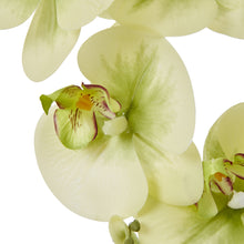 Load image into Gallery viewer, Large green faux orchid in a ceramic pot
