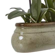 Load image into Gallery viewer, Large green faux orchid in a ceramic pot
