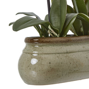 Large green faux orchid in a ceramic pot