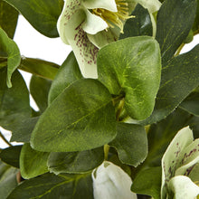 Indlæs billede til gallerivisning Medium green faux hellebore in taupe pot
