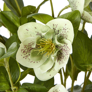 Medium green faux hellebore in taupe pot