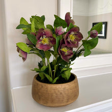 Indlæs billede til gallerivisning Medium deep plum faux hellebore in taupe pot
