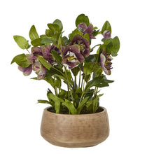 Indlæs billede til gallerivisning Medium deep plum faux hellebore in taupe pot
