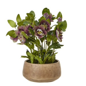 Medium deep plum faux hellebore in taupe pot