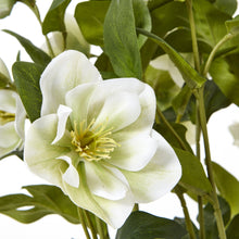 Indlæs billede til gallerivisning Medium white faux hellebore in grey pot
