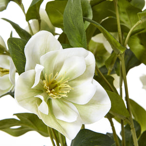 Medium white faux hellebore in grey pot