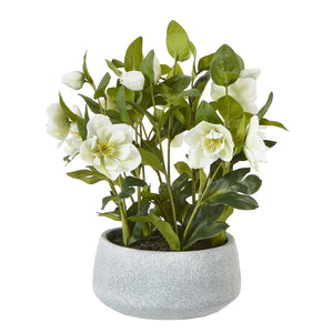 Medium white faux hellebore in grey pot