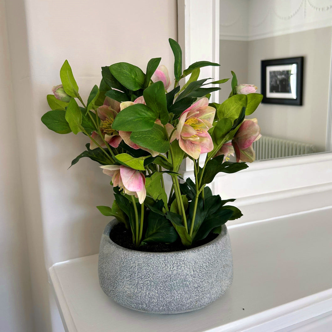 Medium pink faux hellebore in grey pot