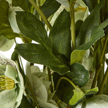 Afbeelding in Gallery-weergave laden, Large green faux hellebore in taupe pot
