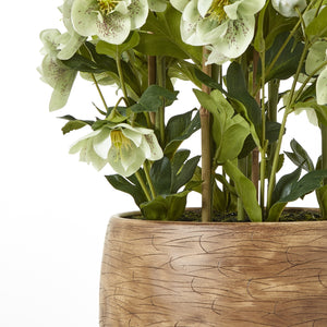 Large green faux hellebore in taupe pot