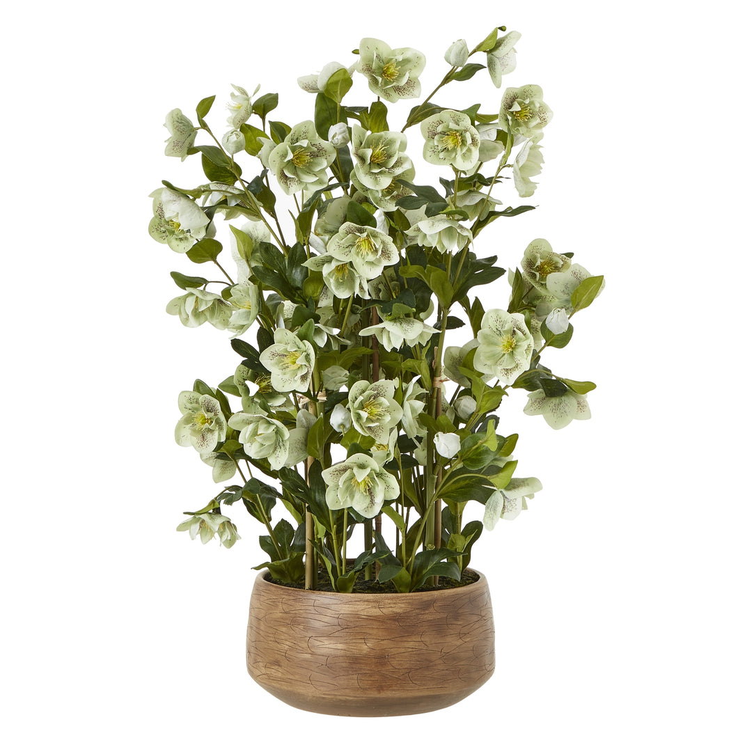 Large green faux hellebore in taupe pot