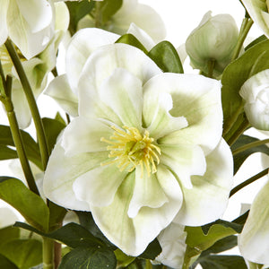 Large white faux hellebore in a grey pot