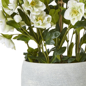 Large white faux hellebore in a grey pot