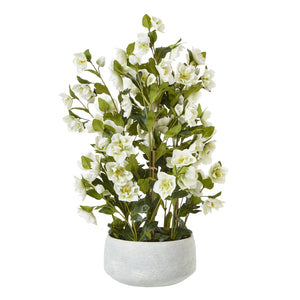 Large white faux hellebore in a grey pot