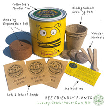 Load image into Gallery viewer, Big Bee Happiness. Eco grow your Own plant, gardening kit.
