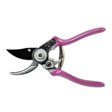 Indlæs billede til gallerivisning Secateurs, RHS garden pruner and Holster Set Asteraceae design
